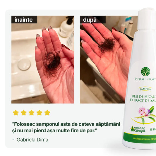 Rezultate înainte și după utilizarea șamponului cu Ulei de Eucalipt, Extract de Salvie și Ulei de Cânepă, arătând îmbunătățirea densității părului.